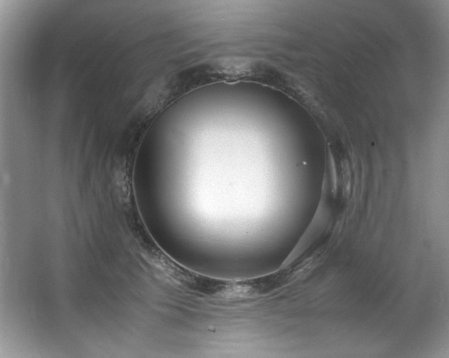 X0000066940609200603241144