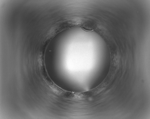 X0000066940612200603241144