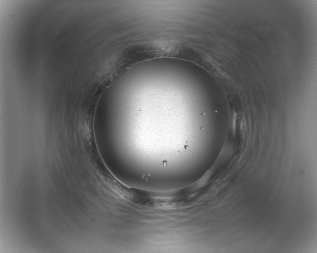 X0000066940613200603241144