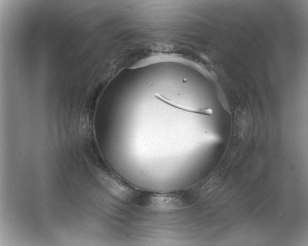 X0000066940614200603241144