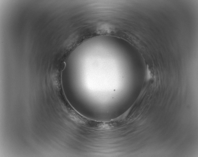 X0000066940616200603241144