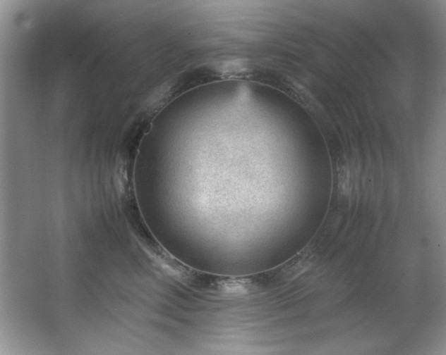 X0000066940618200603241144