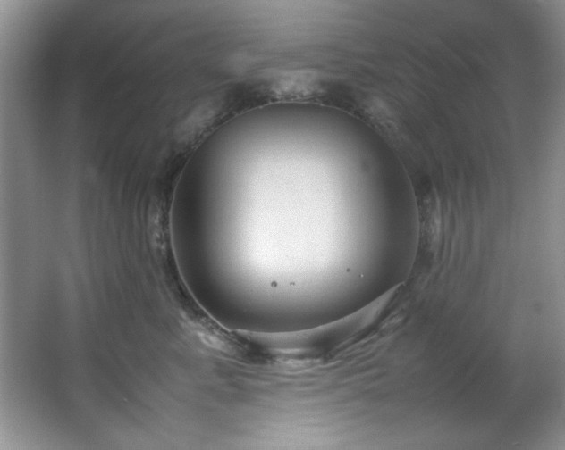 X0000066940619200603241144