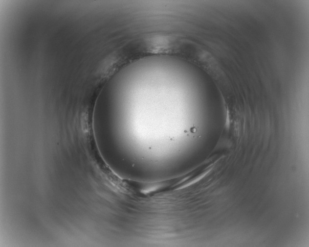 X0000066940620200603241144