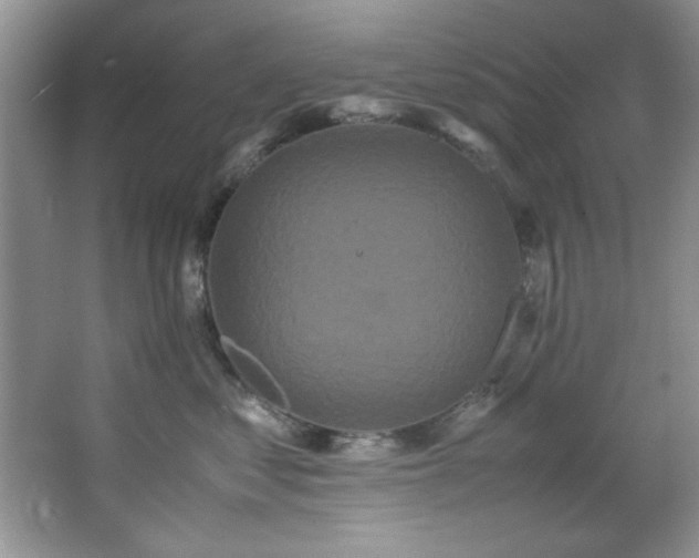 X0000066940621200603241144