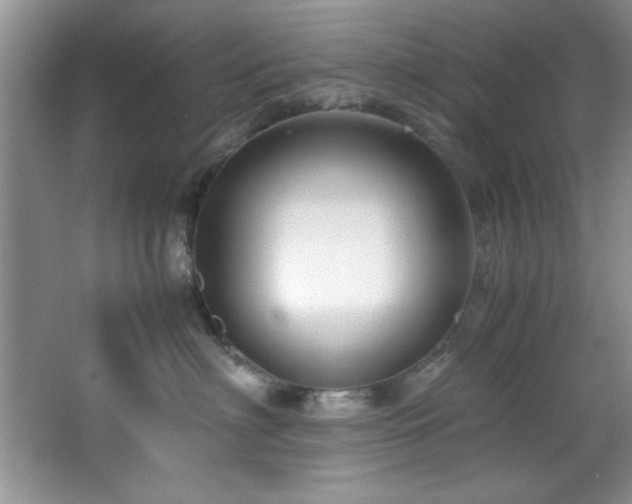 X0000066940622200603241144