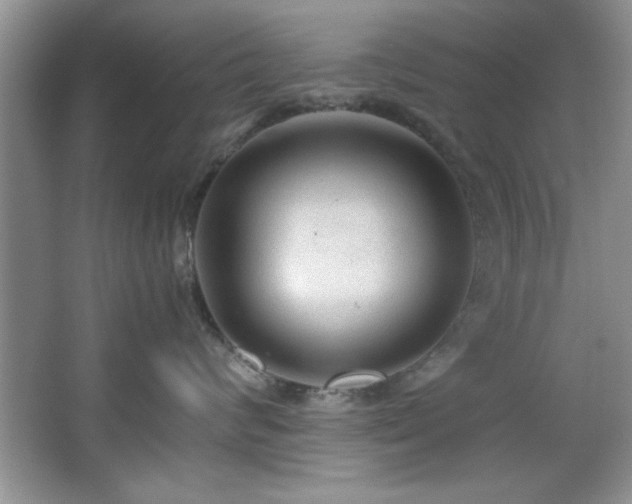 X0000066940624200603241143