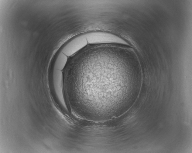 X0000066940626200603241143