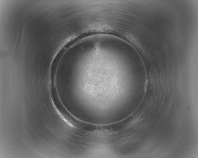 X0000066940630200603241143