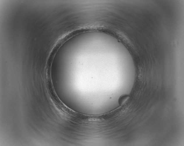 X0000066940636200603241143