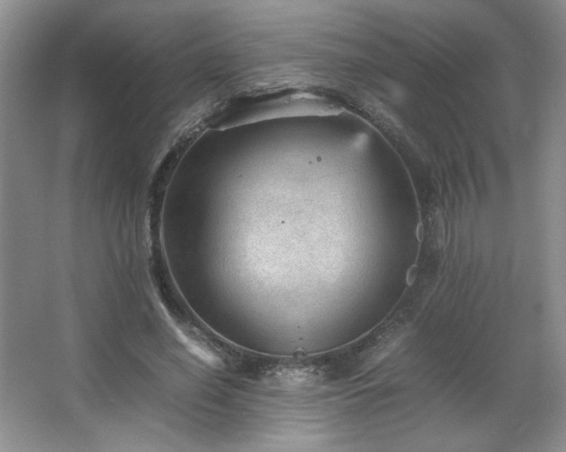 X0000066940638200603241143