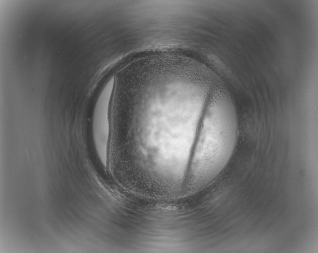 X0000066940640200603241143