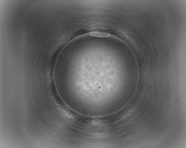 X0000066940641200603241143