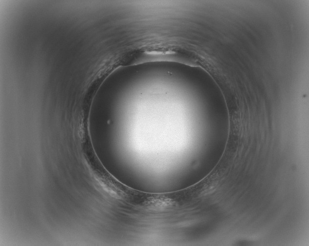 X0000066940642200603241143