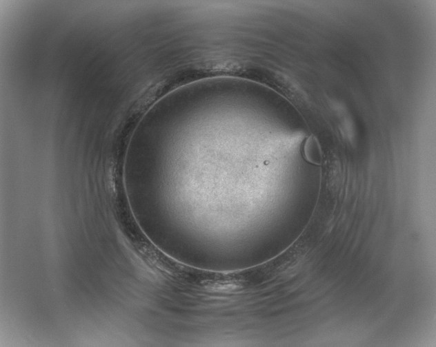 X0000066940643200603241143