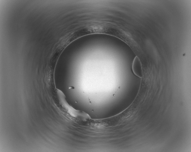 X0000066940645200603241143