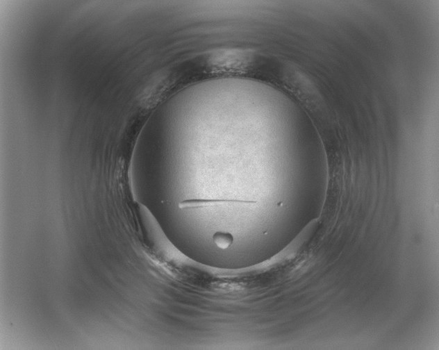 X0000066940649200603241143