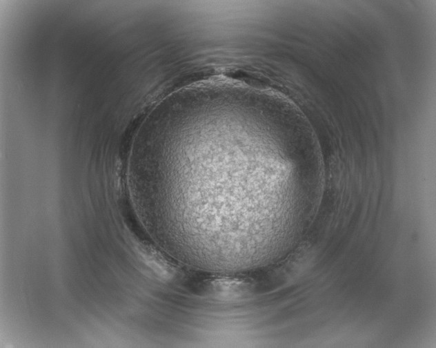 X0000066940650200603241143