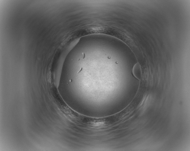 X0000066940651200603241143