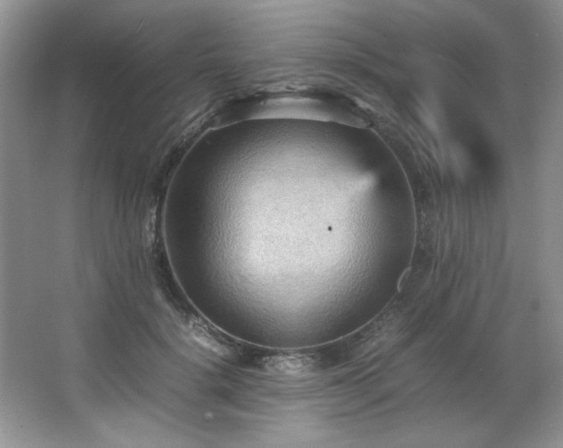 X0000066940652200603241143