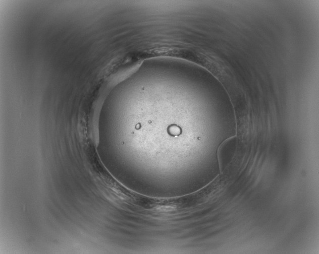 X0000066940653200603241143