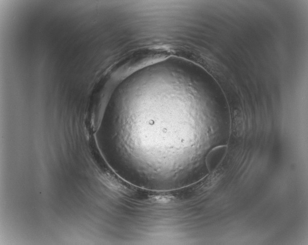 X0000066940654200603241143