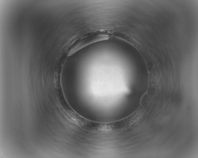 X0000066940656200603241143