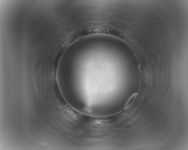 X0000066940657200603241143