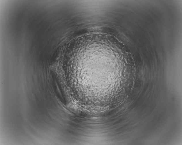 X0000066940658200603241143