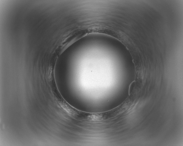 X0000066940660200603241143