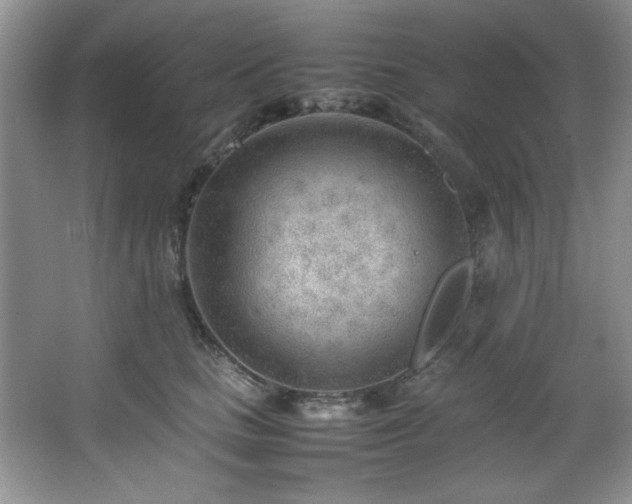 X0000066940661200603241143