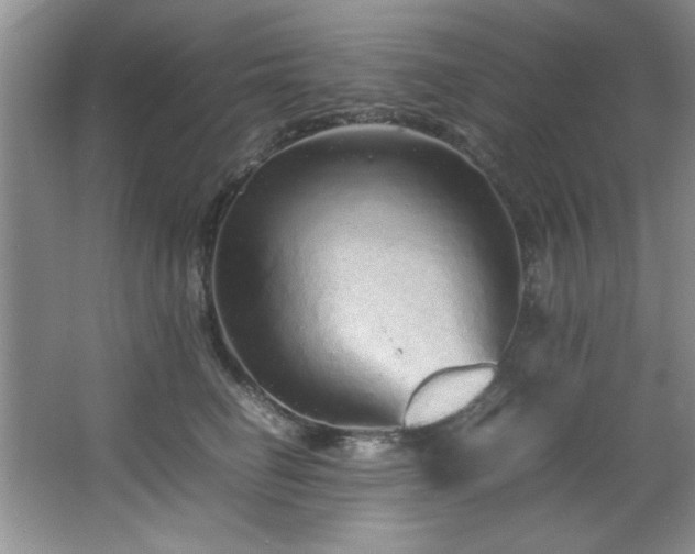 X0000066940662200603241143