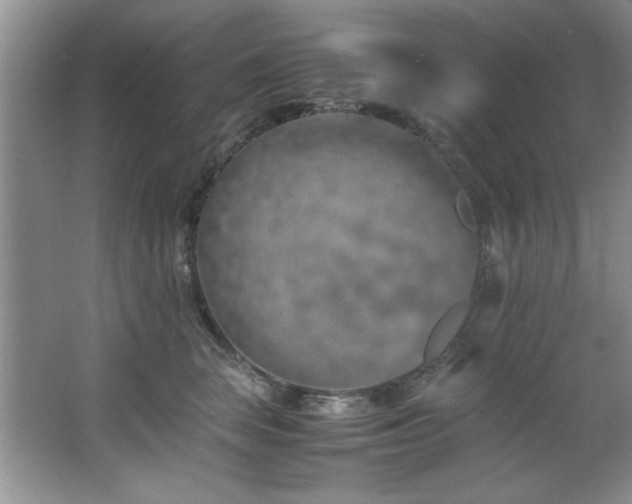 X0000066940663200603241143