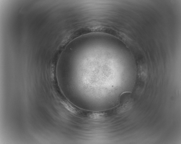 X0000066940664200603241143