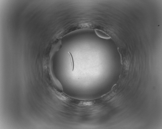 X0000066940665200603241143