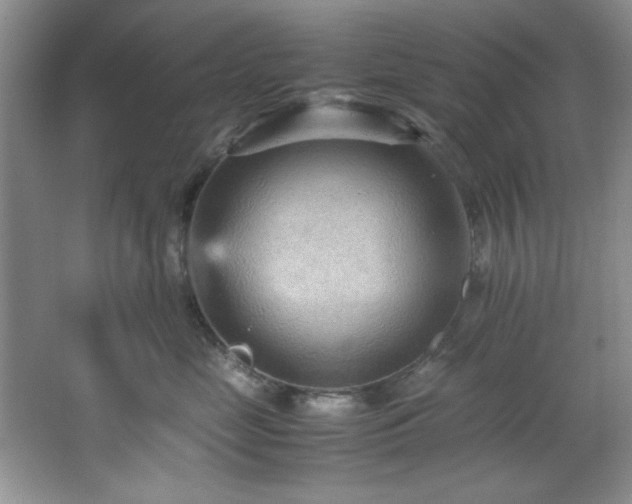 X0000066940669200603241143