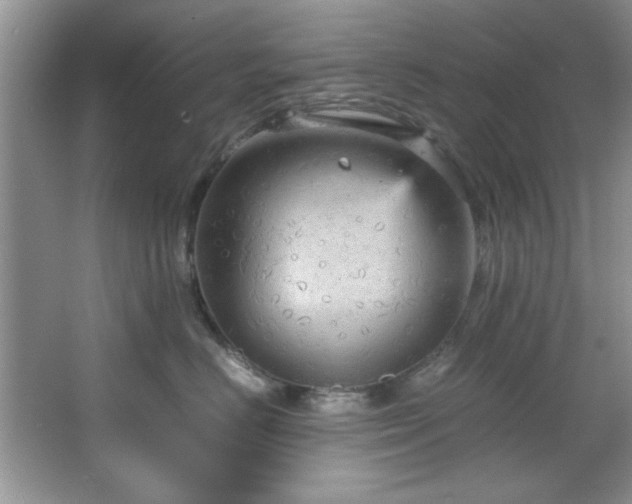 X0000066940670200603241143