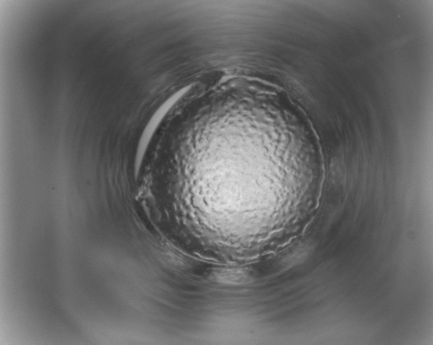 X0000066940671200603241143