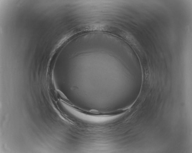 X0000066940674200603241143