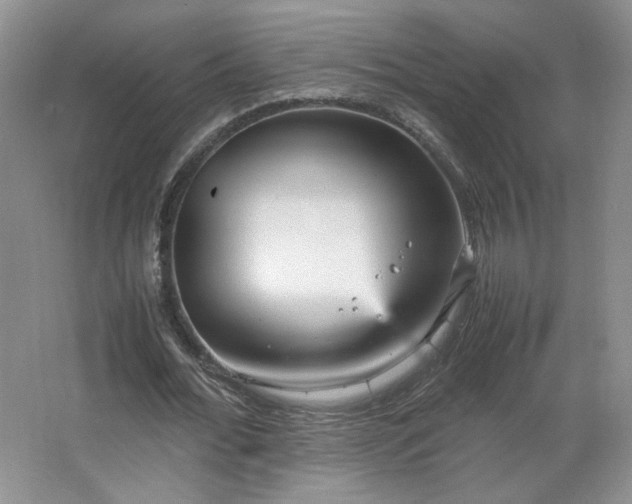 X0000066940676200603241143