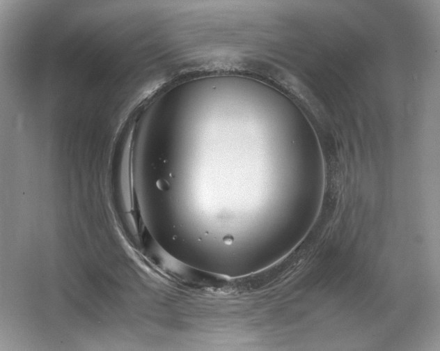 X0000066940677200603241143