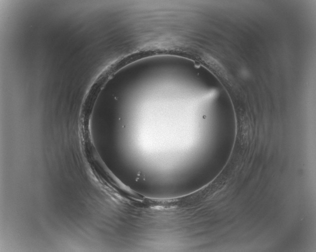 X0000066940680200603241143