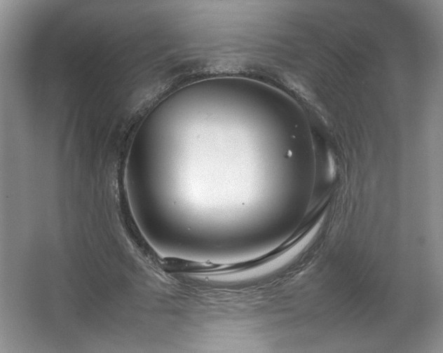 X0000066940681200603241143