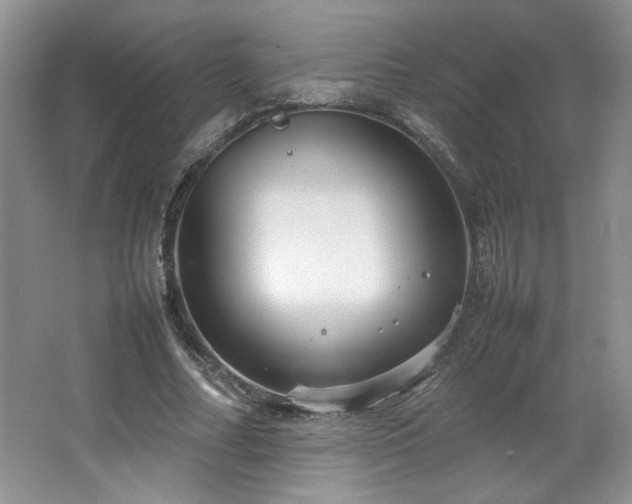 X0000066940682200603241142