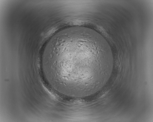 X0000066940683200603241142