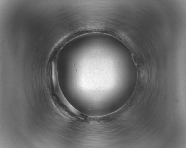 X0000066940684200603241142