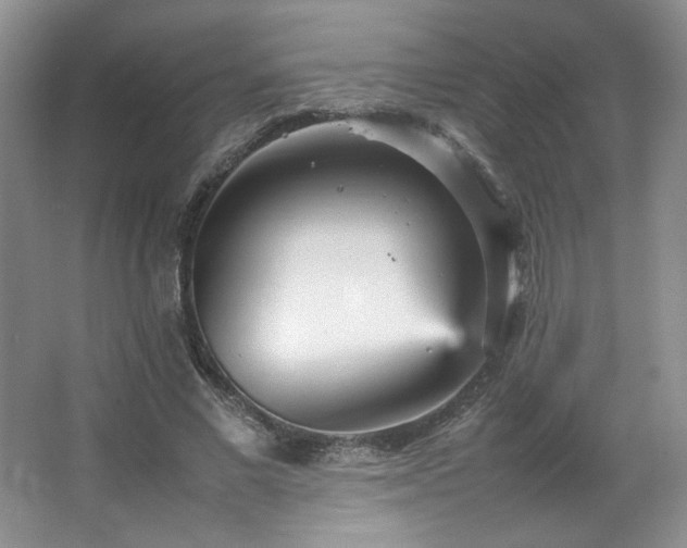 X0000066940685200603241142