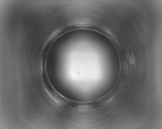 X0000066940686200603241142