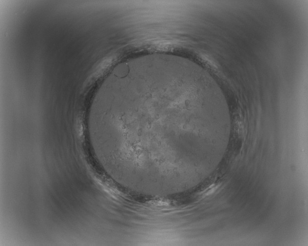 X0000066940687200603241142