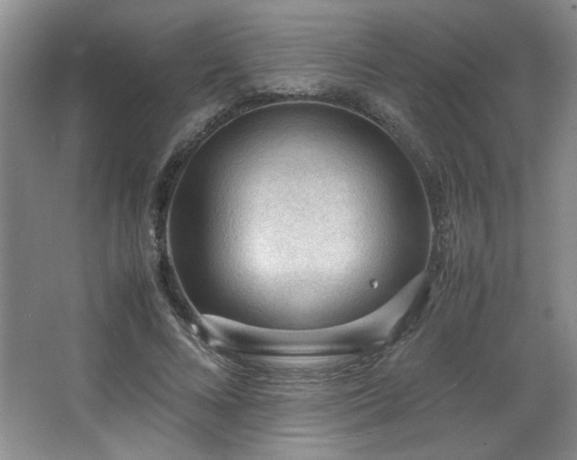 X0000066940688200603241142